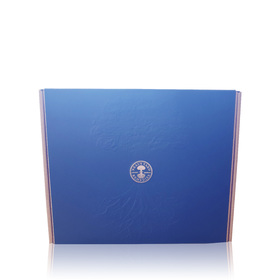 Large Gift Box And Blue Sleeve